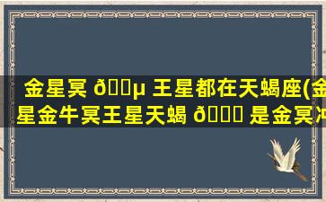 金星冥 🌵 王星都在天蝎座(金星金牛冥王星天蝎 🐈 是金冥冲吗)